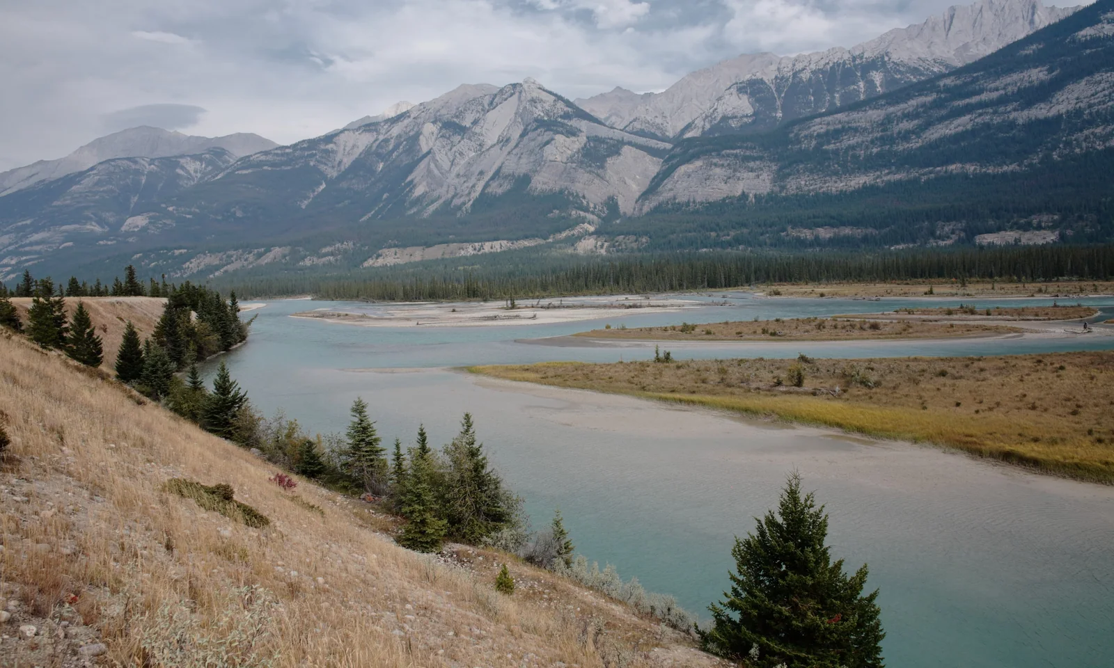 Athabasca River moving through the Jasper landscape