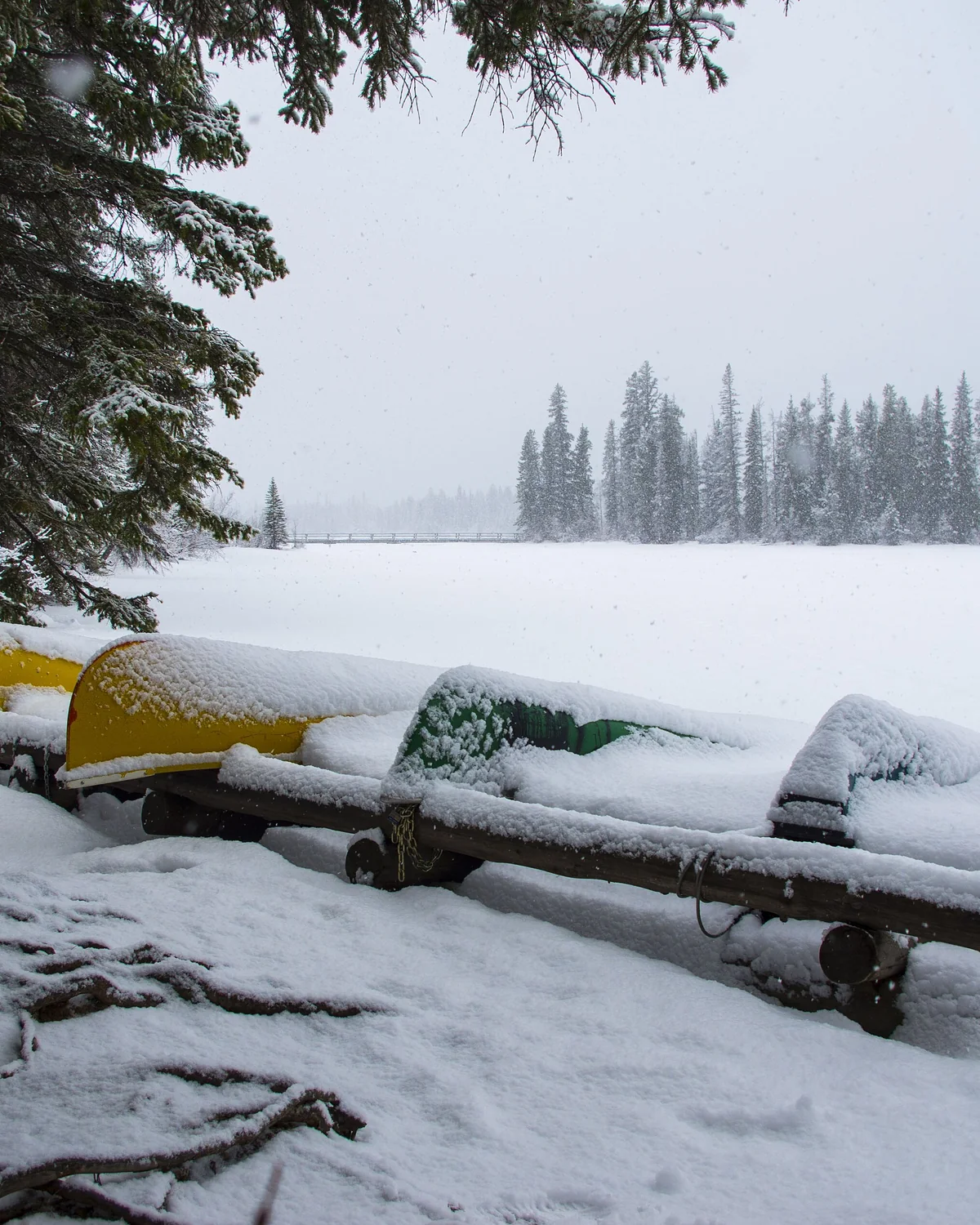 Canoes beside Pyramid Lake during winter